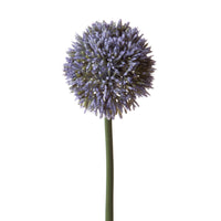 Set 6 Fiori Artificiali di Allium H 66 cm