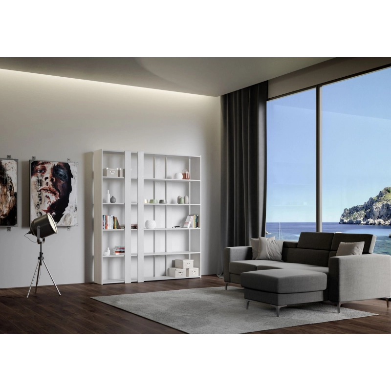 Composizione Libreria A Kato 6R 2 fianchi 4 fasce lunghe - Bianco Frassino