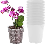 Set di 16 vasi autoirriganti 11 cm con fori di drenaggio per piante e fiori - vasi in plastica trasparenti e moderni decorativi