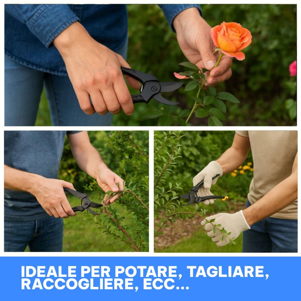 Forbici Da Potatura Forbici Cesoie Da Potatura Forbice Da Giardinaggio 20cm SK5