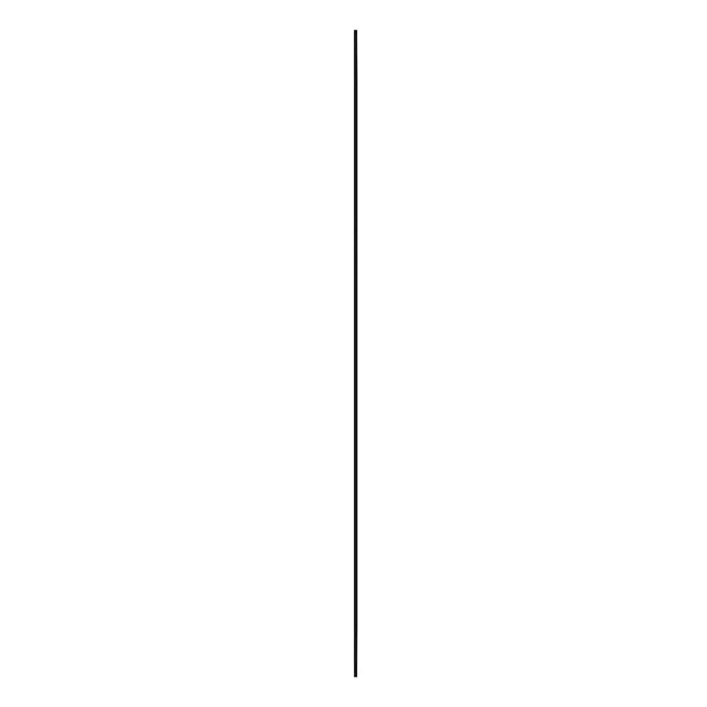 Specchio da Parete 30x100 cm Vetro Rettangolare