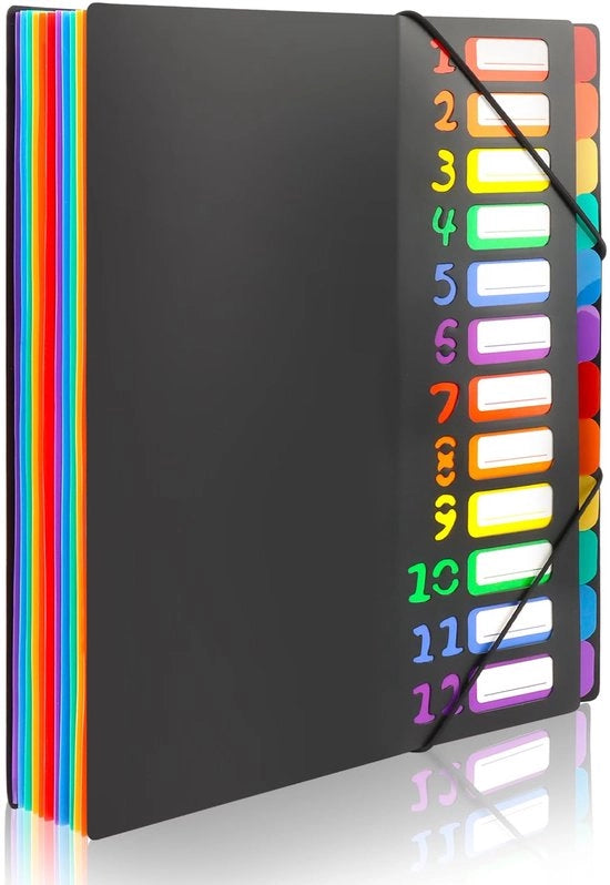 Documentario A4 con 12 compartimenti, organizzatore con etichette e espandibile, 24 cassette, impermeabile e colorato.