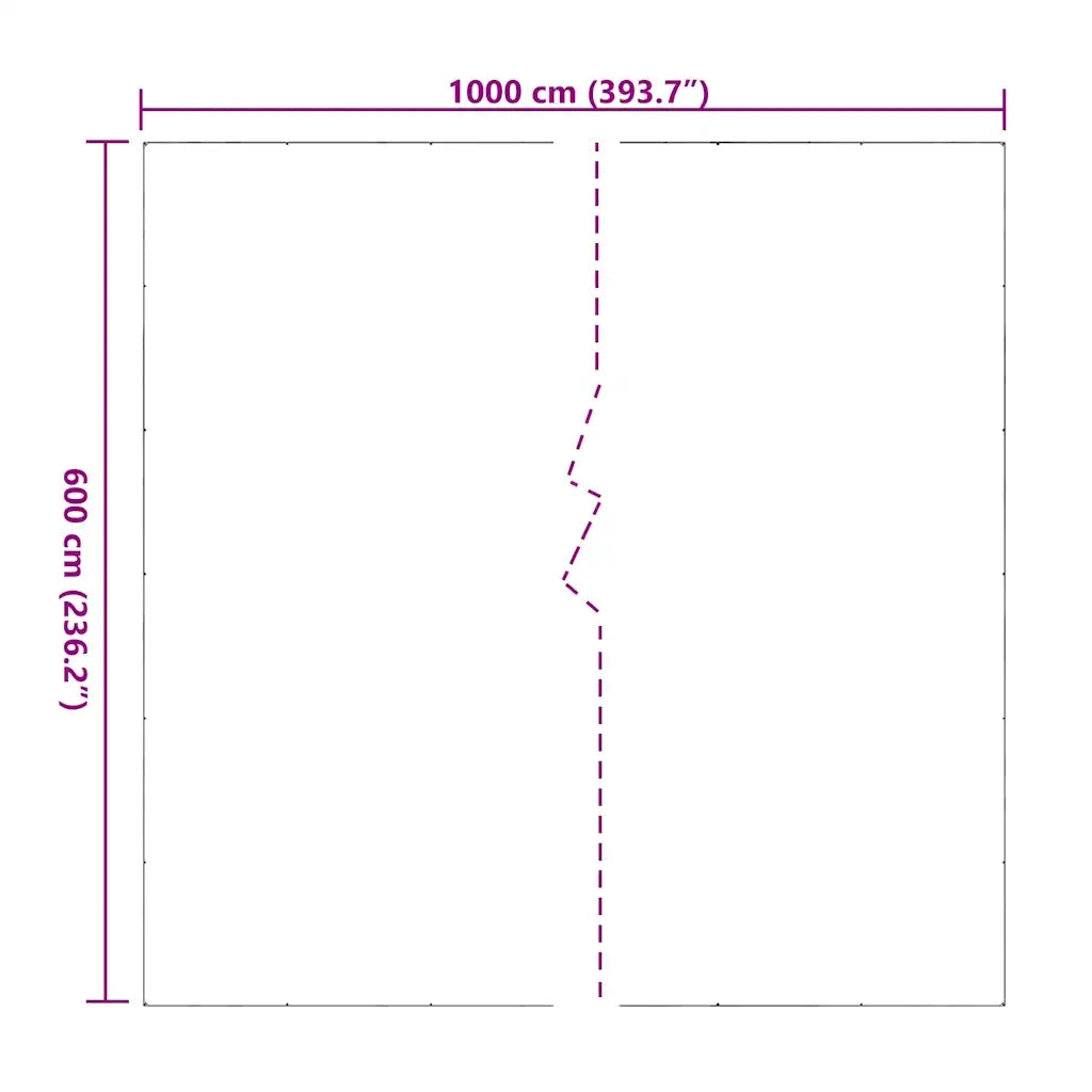 Telone Trasparente con Occhielli 6x10 m in PVC