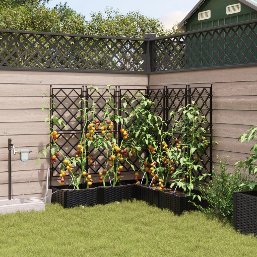 Pianterini da Giardino  con Sistema di Irrigazione 5 pz Nero