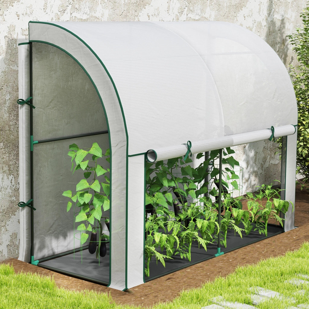 Serra da giardino con porta arrotolabile, struttura da parete in plastica resistente ai raggi UV, 200 x 80 x 157 cm, bianca