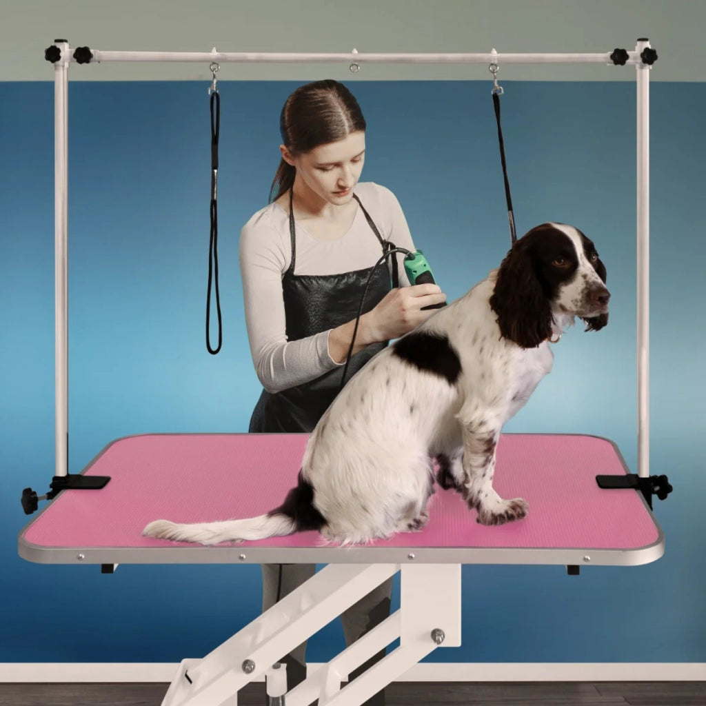 Tavolo da toelettatura idraulico per cani ad altezza regolabile professionale grande Rosa