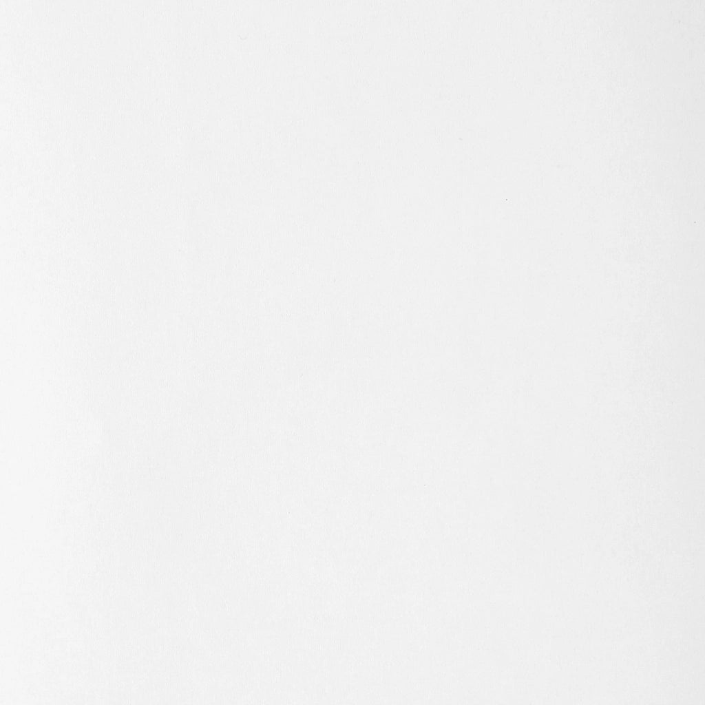 VIEWTEX Tenda a rullo Traslucida Basic Bianco 150 X 250cm - Made in Europe - 5 anni di Garanzia