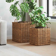 Cestino per Piante con archiviazione 2 pcs Marrone Rattan Lacak 42020970