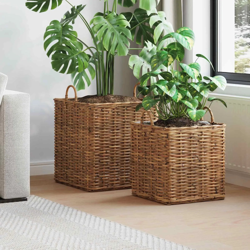 Cestino per Piante con archiviazione 2 pcs Marrone Rattan Lacak 42020970