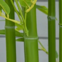Pianta Finta di Bambù Alta 150cm con Vaso Incluso per Interno ed Esterno