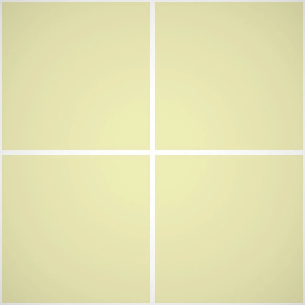 Pittura Murale Acril Silossanico Antialga Esterno - Rivestimenti Esterni B661 - Litri 4