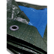 TELO OCCHIELLATO PE VERDE/BLU  4X 4M 90 GR- 4F- 1,0 pz