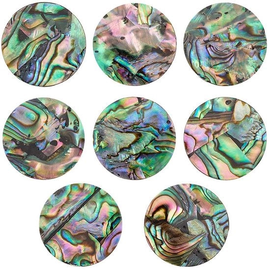 Set di 8 Conchiglie di Abalone Naturale per Gioielli