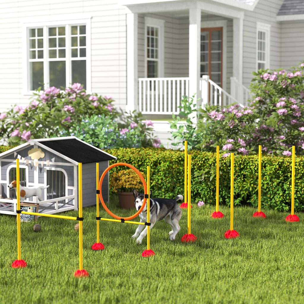 Set Agility per Cani 3 Pezzi ¨C Xylo ¨C Ostacoli con Pali Slalom Riempibili
