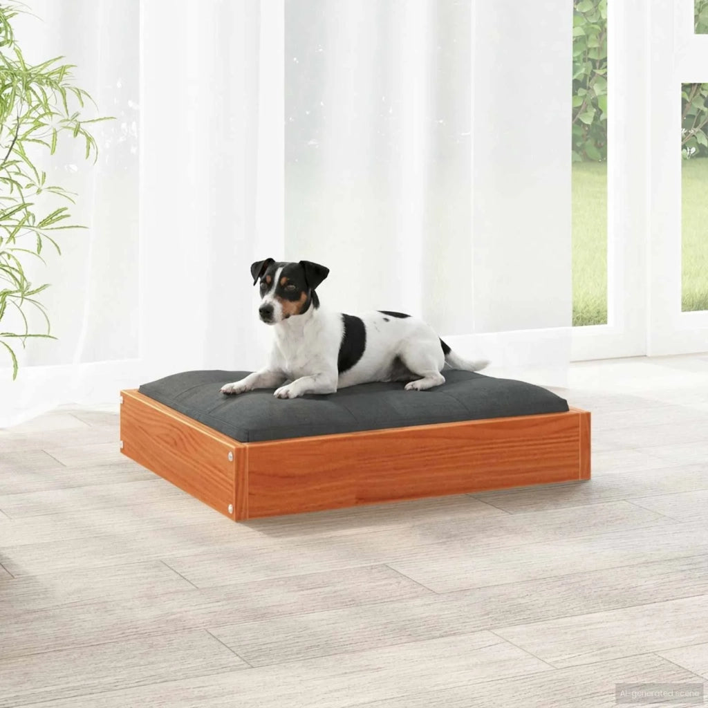 Letto per Cani Marrone cerato 51,5 x 44 x 9 cm 867640