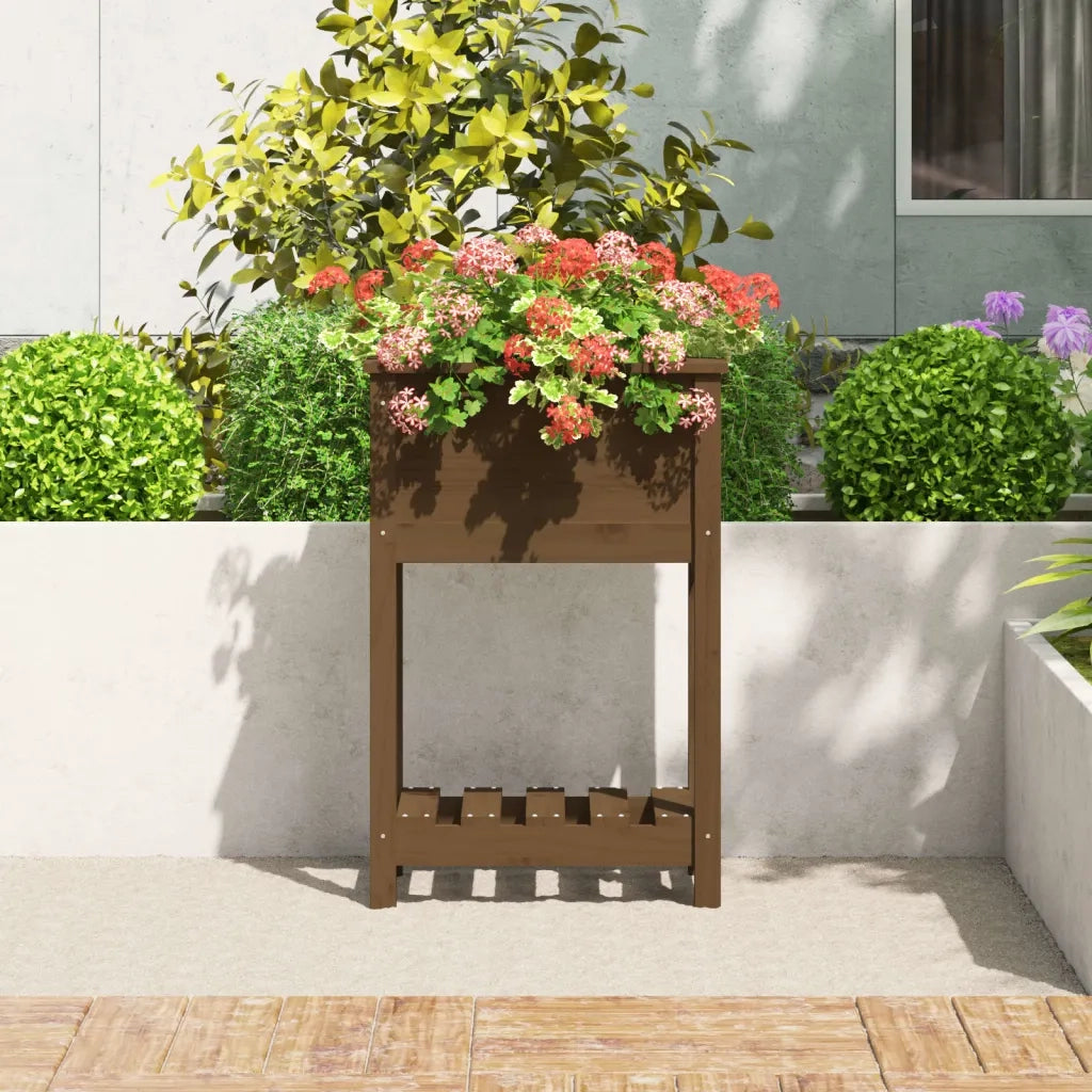 Fioriera con Mensola Ambra 54x34,5x81cm Legno Massello di Pino 823755