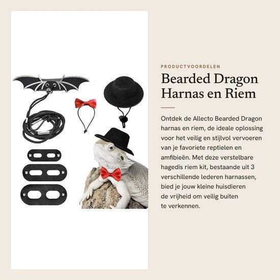 Kit di cinture per rettili - 3 pezzi - con nylon resistente - per uso con cinture a forma di ali/berretto/strisce