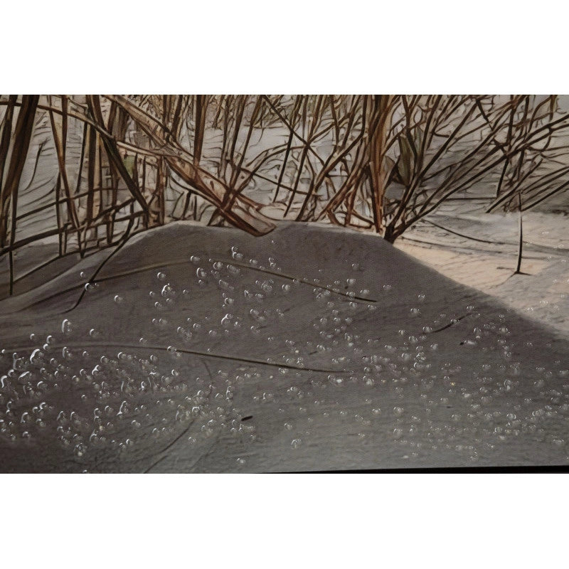 Stampa Dipinta Su Tela Laccata Beach Con Cornice -a- cm 152x4x52
