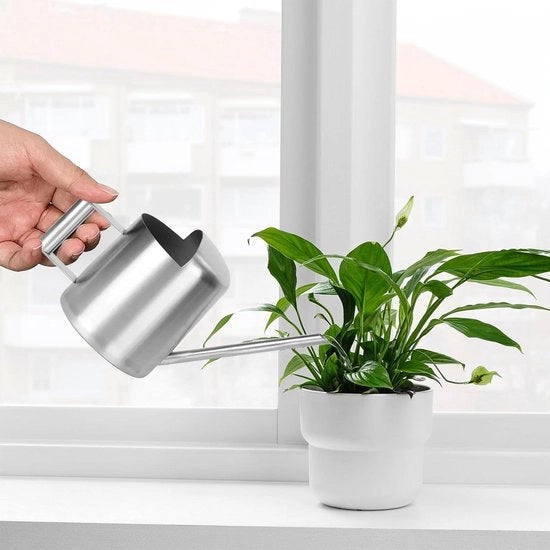 Spruzzatore da 300 ml con lungo getto per piante da appartamento - spruzzatore in acciaio inossidabile per piante grasso e bonsai - argento