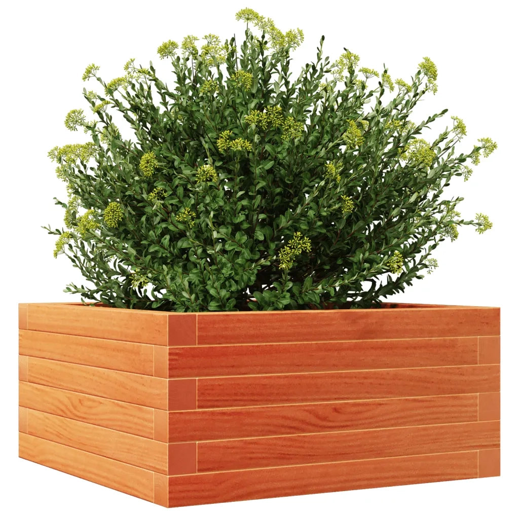 Fioriera Giardino Marrone Cera 50x50x23 cm Legno Massello Pino