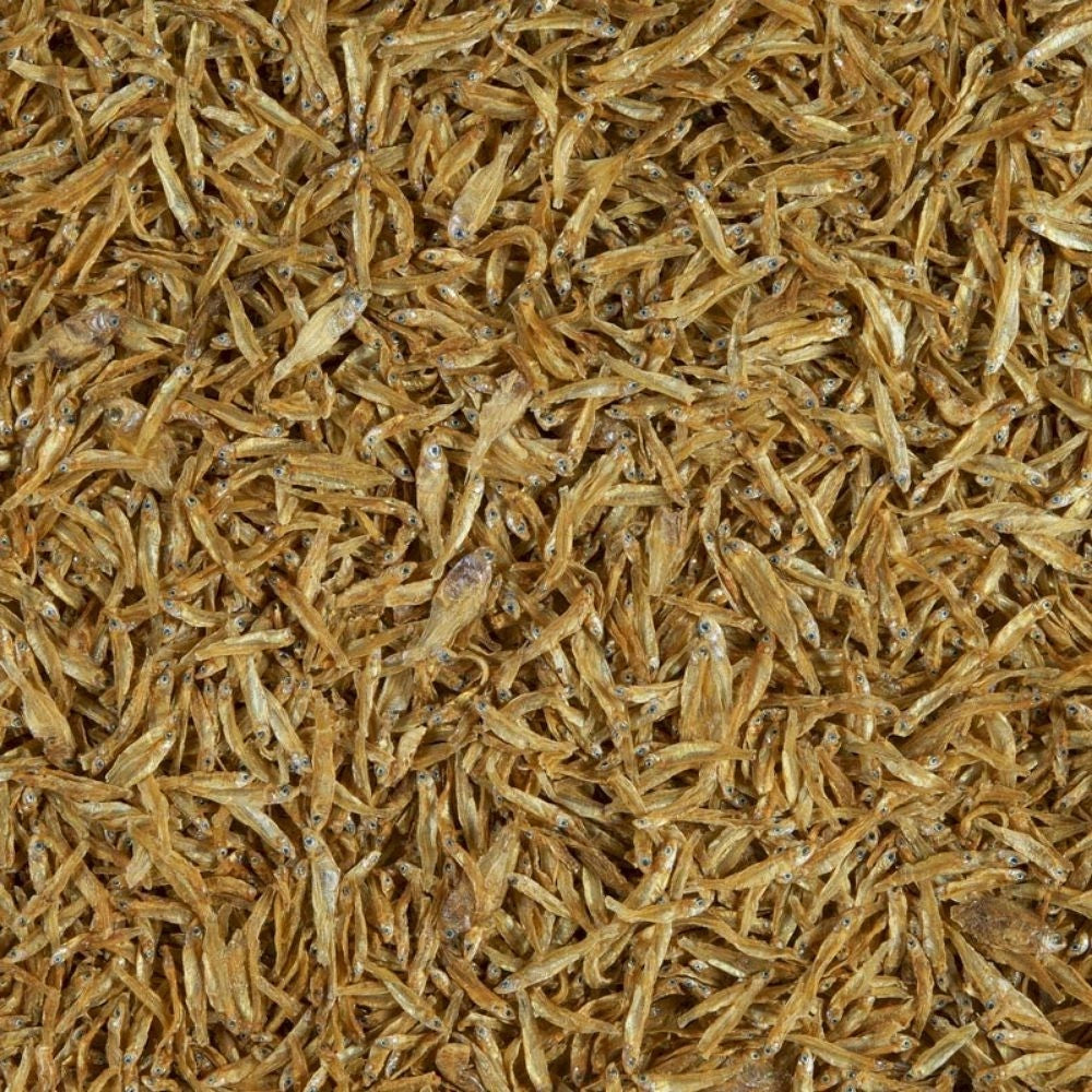 Tetra Anchovies 1000ml/150gr - Acciughe per Tartarughe Acquatiche