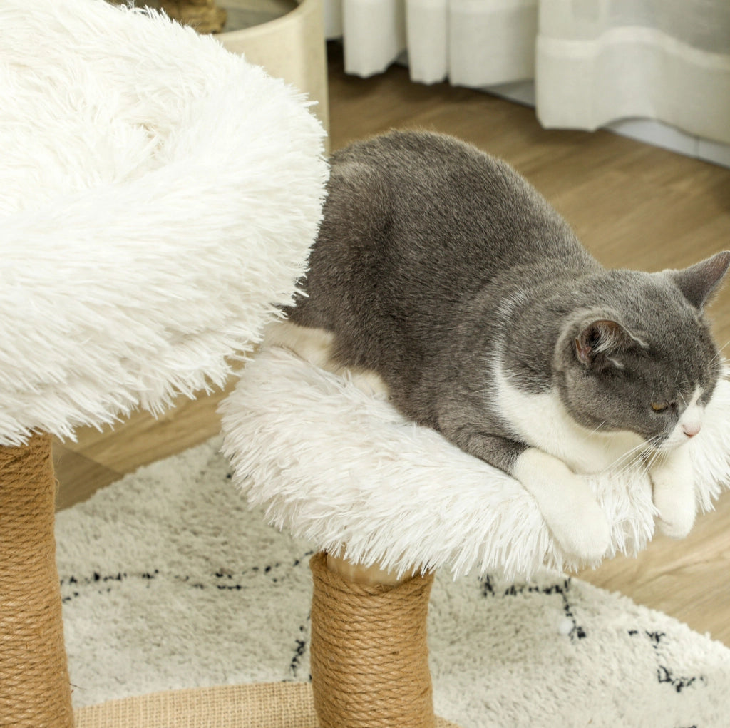 Tiragraffi per gatti bianco con pallina e lettini, 61,5 cm
