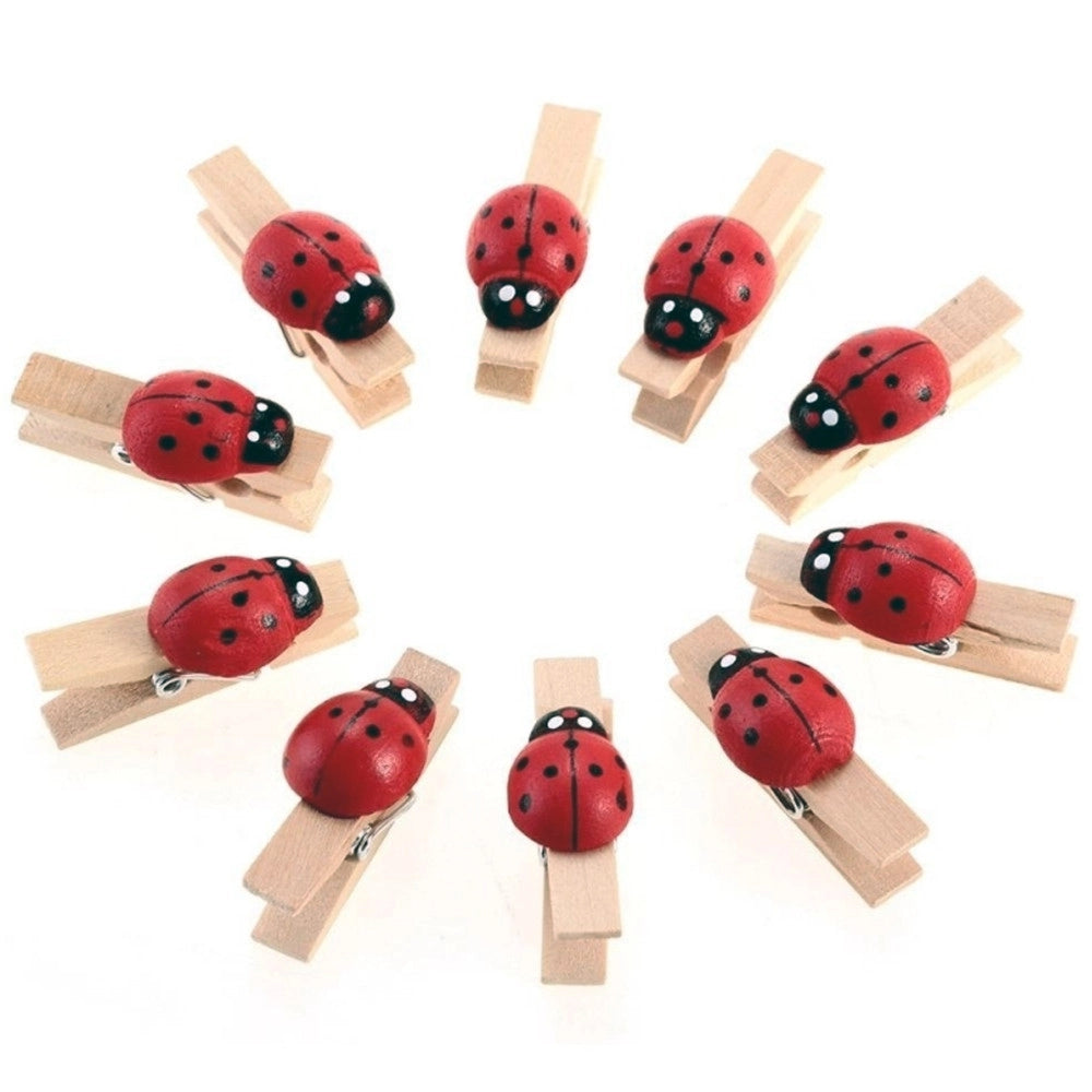 Trade Shop - 48pz. Molletta Coccinella Legno Naturale Bomboniere Biglietti Laurea Compleanno -