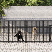 Gabbia per Cani da Esterno con Tetto in Acciaio 11,26 m² 3124611