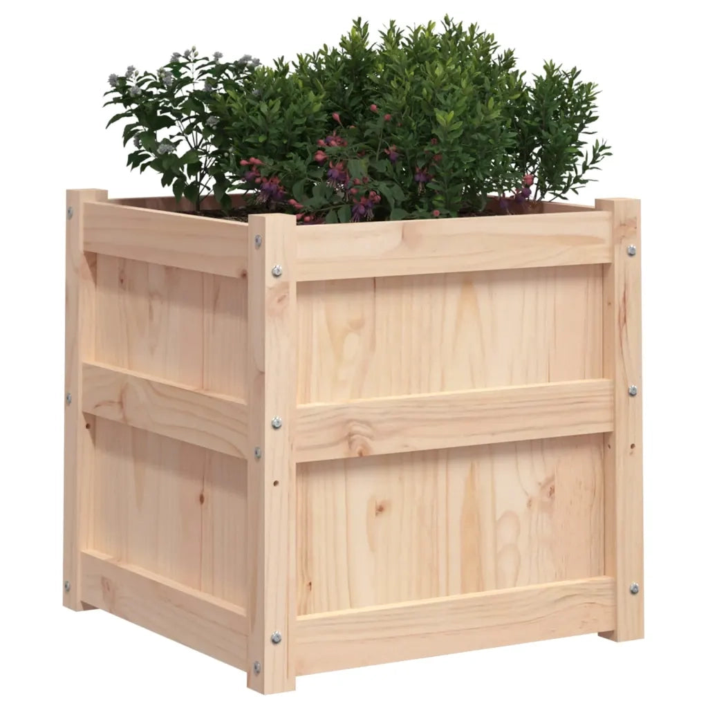 Fioriera da Giardino 50x50x50 cm in Legno Massello di Pino 837414