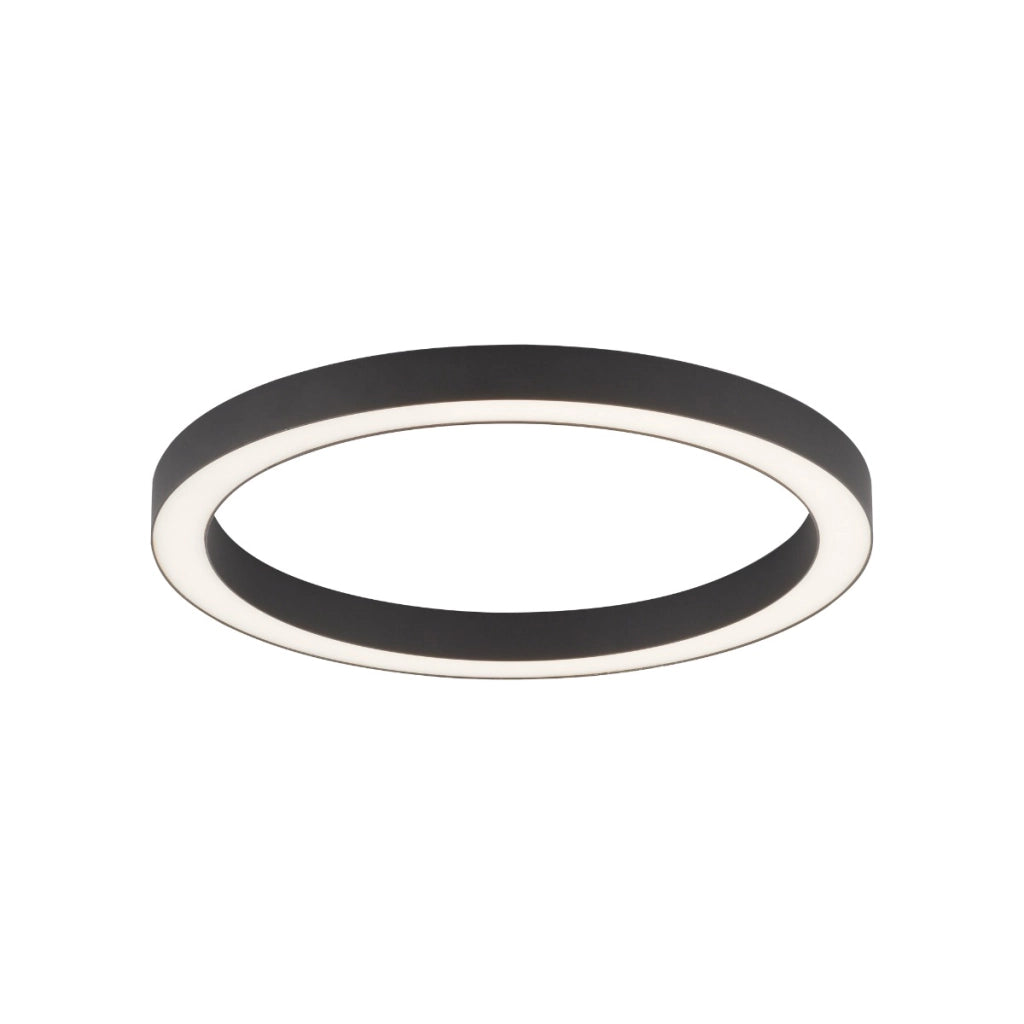 Plafoniera LED Paul Neuhaus PURE-LINES 50cm 30W antracite