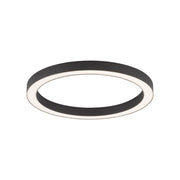 Plafoniera LED Paul Neuhaus PURE-LINES 50cm 30W antracite