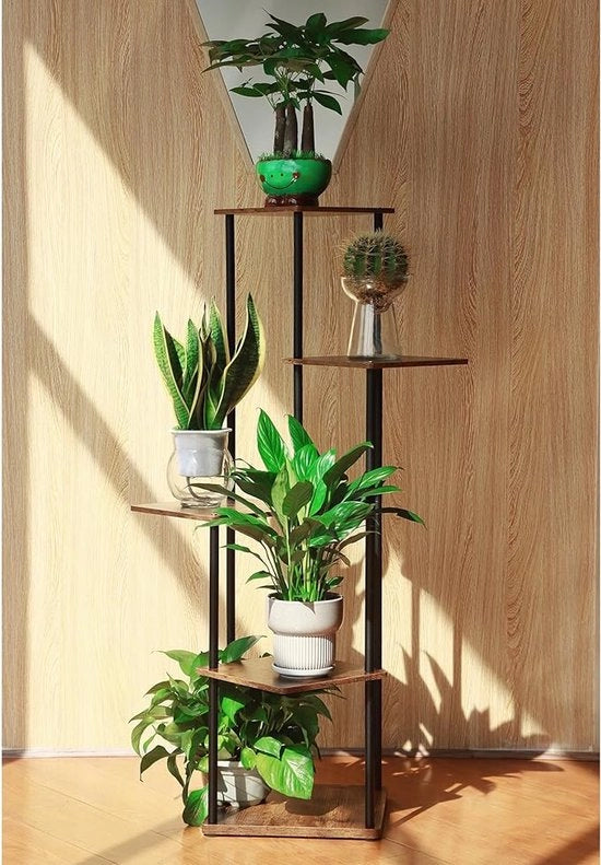 Piantina da esposizione per angolo, woonkamer, balcone, giardino, terrazza