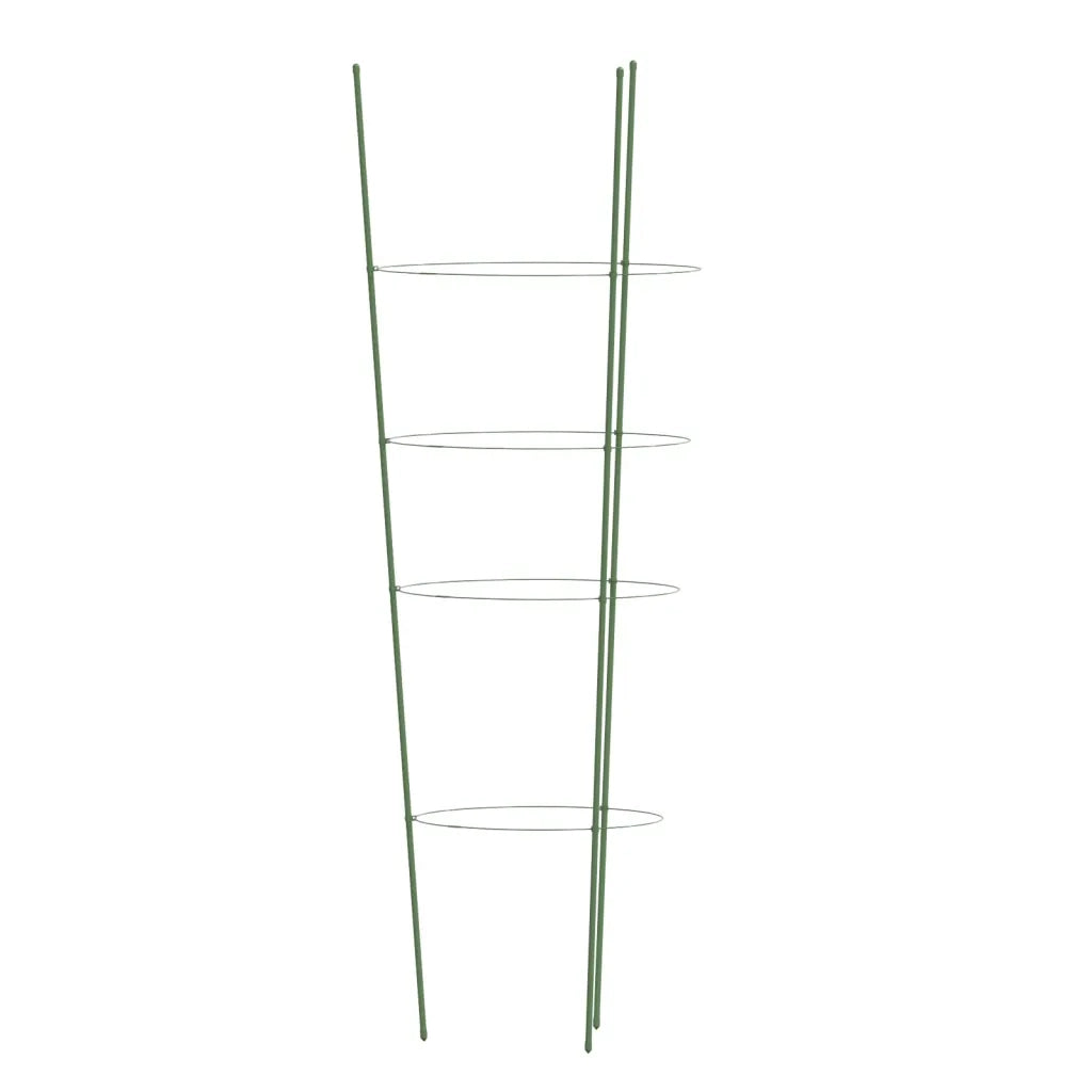 Supporti Piante da Giardino con 4 Anelli 5 pz Verde 90cm Acciaio CFW7116453