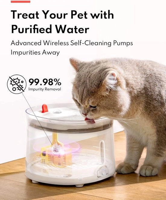 Fonte per Animali Domestici - Fonte per Gatti - Fonte per Animali - Fonte per Gatti - Fonte per Animali