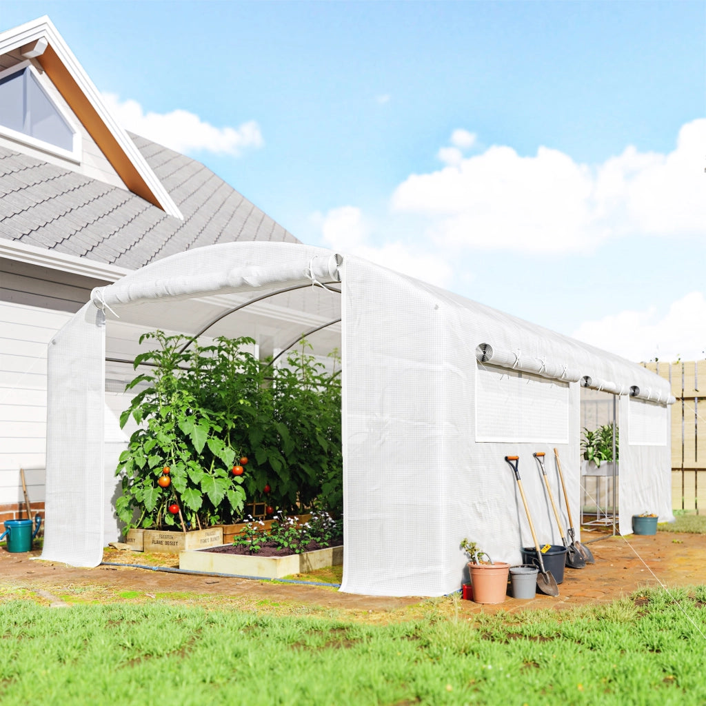 Serra a Tunnel 6x3x2 m ¨C zephmum ¨C Con 3 Porte a Rulli, 6 Finestre a Rete, Struttura in Acciaio Galvanizzato Bianco