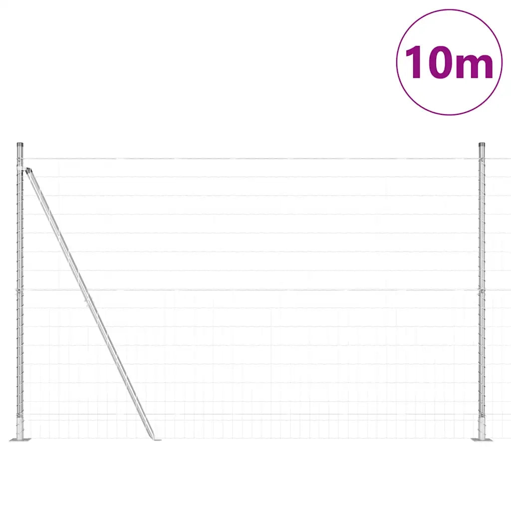 Recinzione con Posto Argento 1,6 x 10 m Acciaio