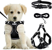 Harnas per cani adattabile - Anti-trek con cerniera - Incluso collare e cintura - Leggero e confortevole - Adatto per cani piccoli/medi