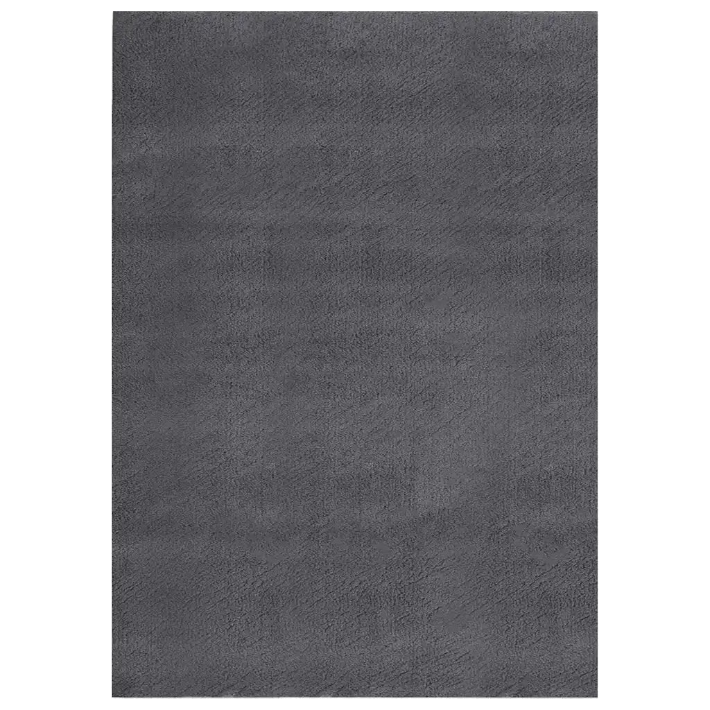 Tappeto Soffice Pelo Corto 160x230 cm Antiscivolo Antracite 342190