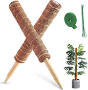 Supporto per piante 40 cm/16 pollici per monstera e kaasplant - 2 pezzi supporto per piante in cocco - inclusi cavi e cinture per giardino