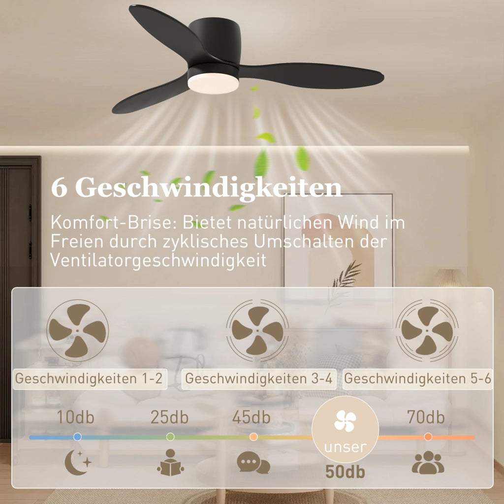 Ventilatore da Soffitto con Luce e Telecomando ¨C Zephmum ¨C Nero, 3 Colori Luce, 6 Velocit¨¤