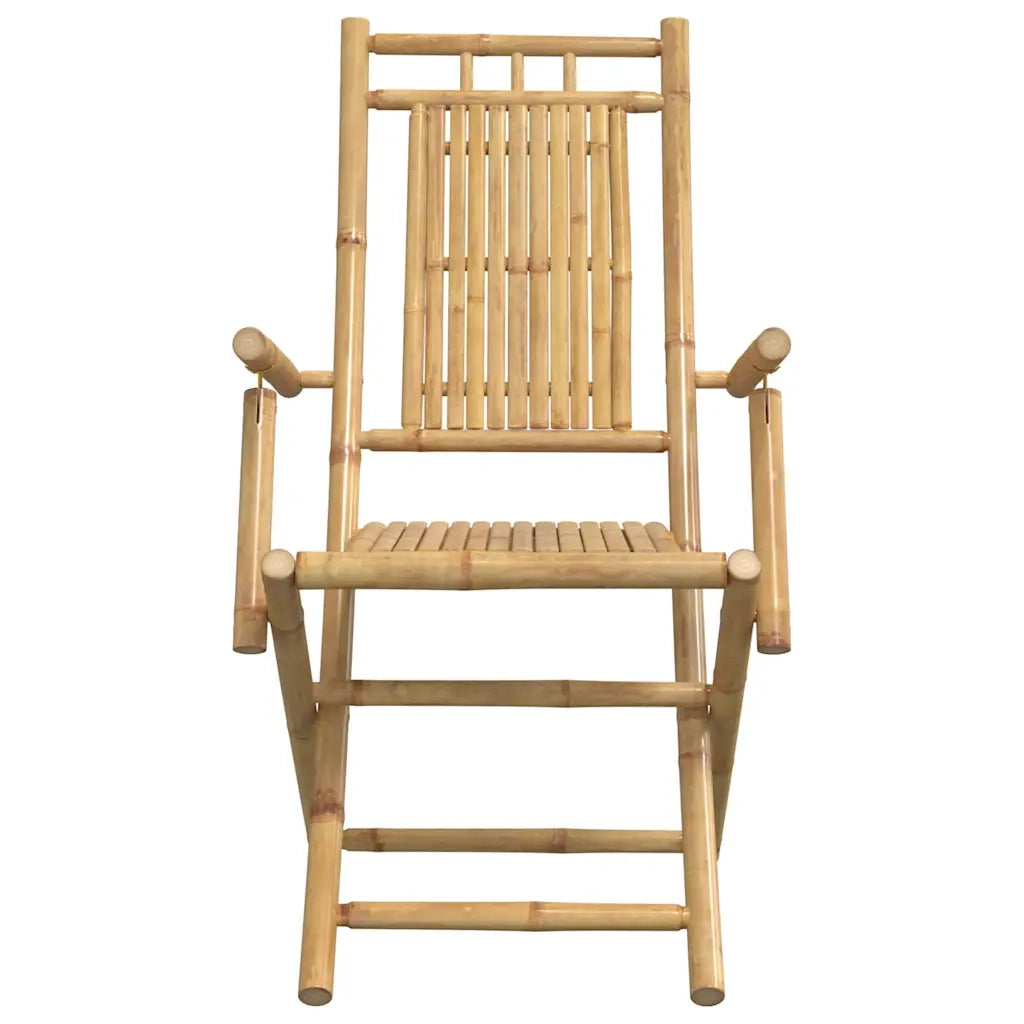 Sedie da Giardino Pieghevoli 4 pz 53x66x99 cm in BambÃ¹