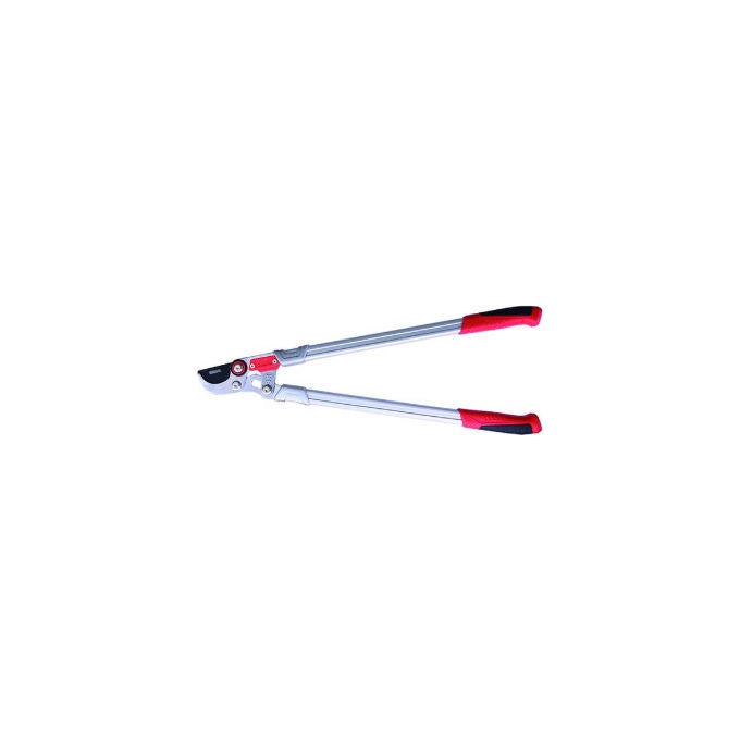 Sandrigarden forbici da giardino per patate, acciaio inox, 190 mm, SG-FP190, resistenti alla corrosione