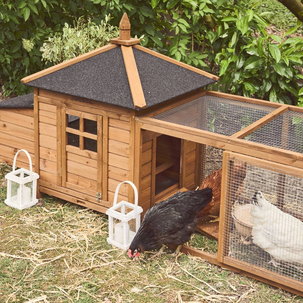 Pollaio in legno con recinto per 4 galline, marrone naturale