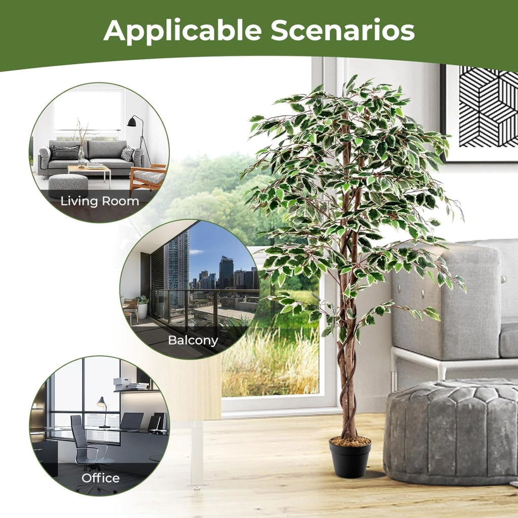 Pianta artificiale 160 cm, pianta artificiale di alta gamma, pianta da appartamento con foglie verdi, vaso riempito di cemento, ficus artificiale con schiuma secca per ufficio, soggiorno