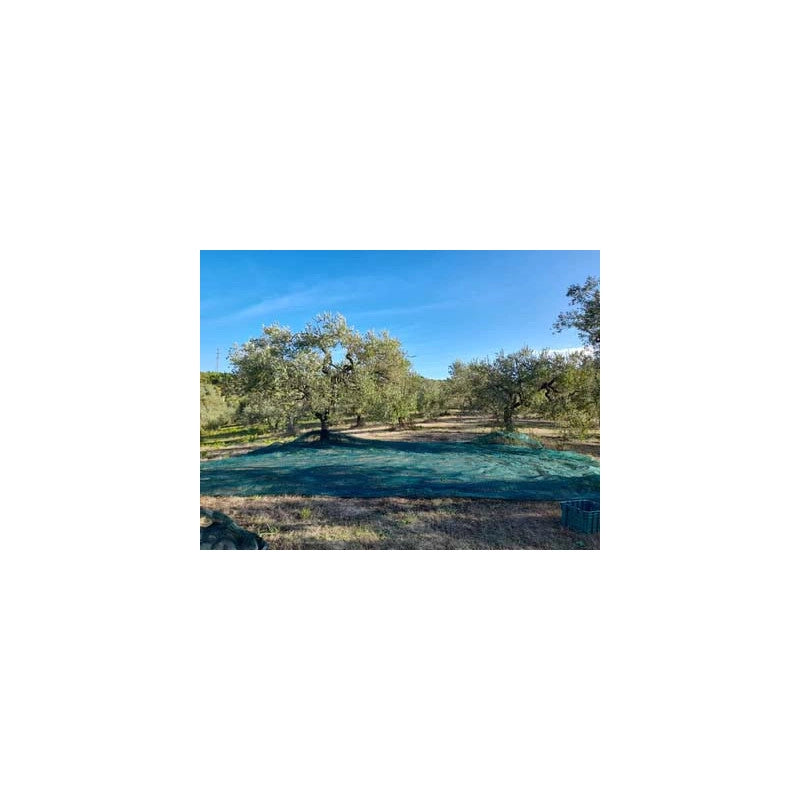 Rete per Olive Telo Intero Rinforzato e Occhiellato Tessuto Antispina 6x10 mt