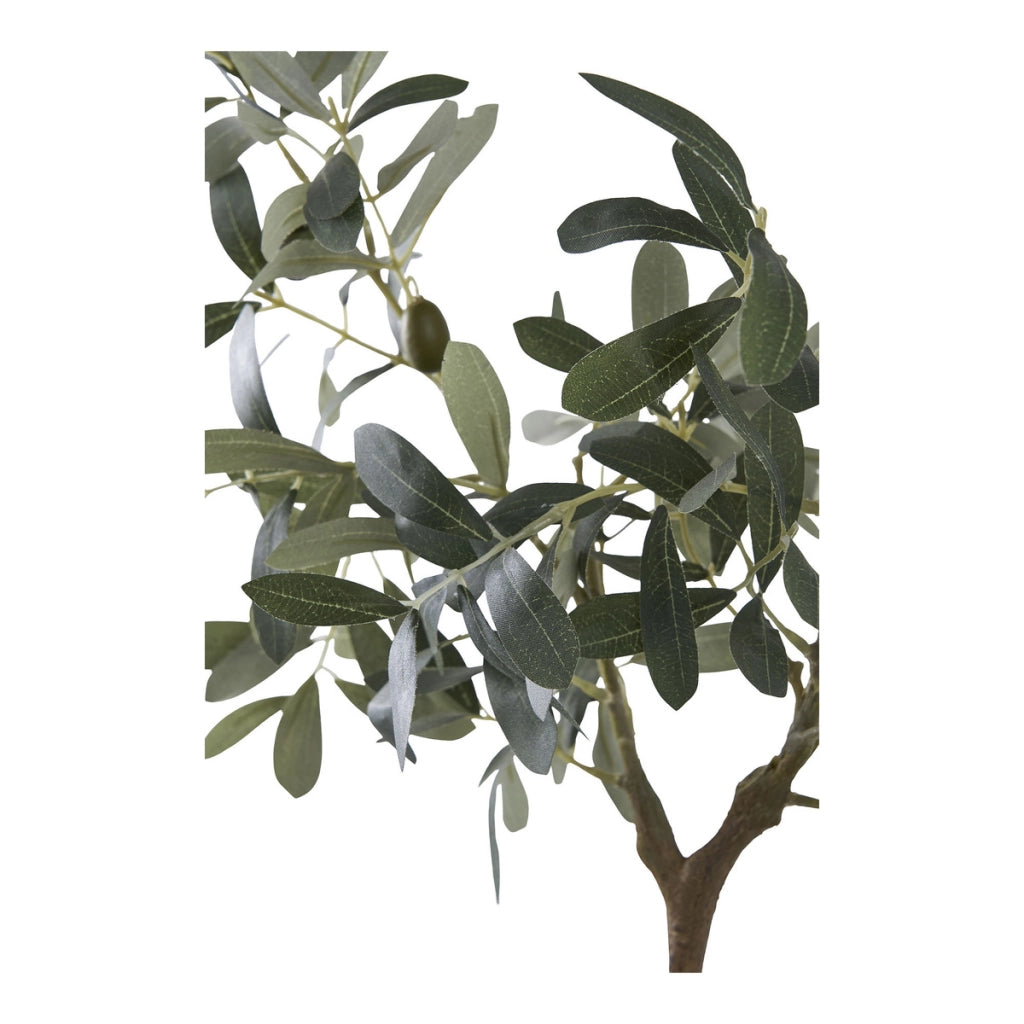 Pianta Artificiale Ulivo, Verde, Plastica PE, 36,5x22,5x61 cm