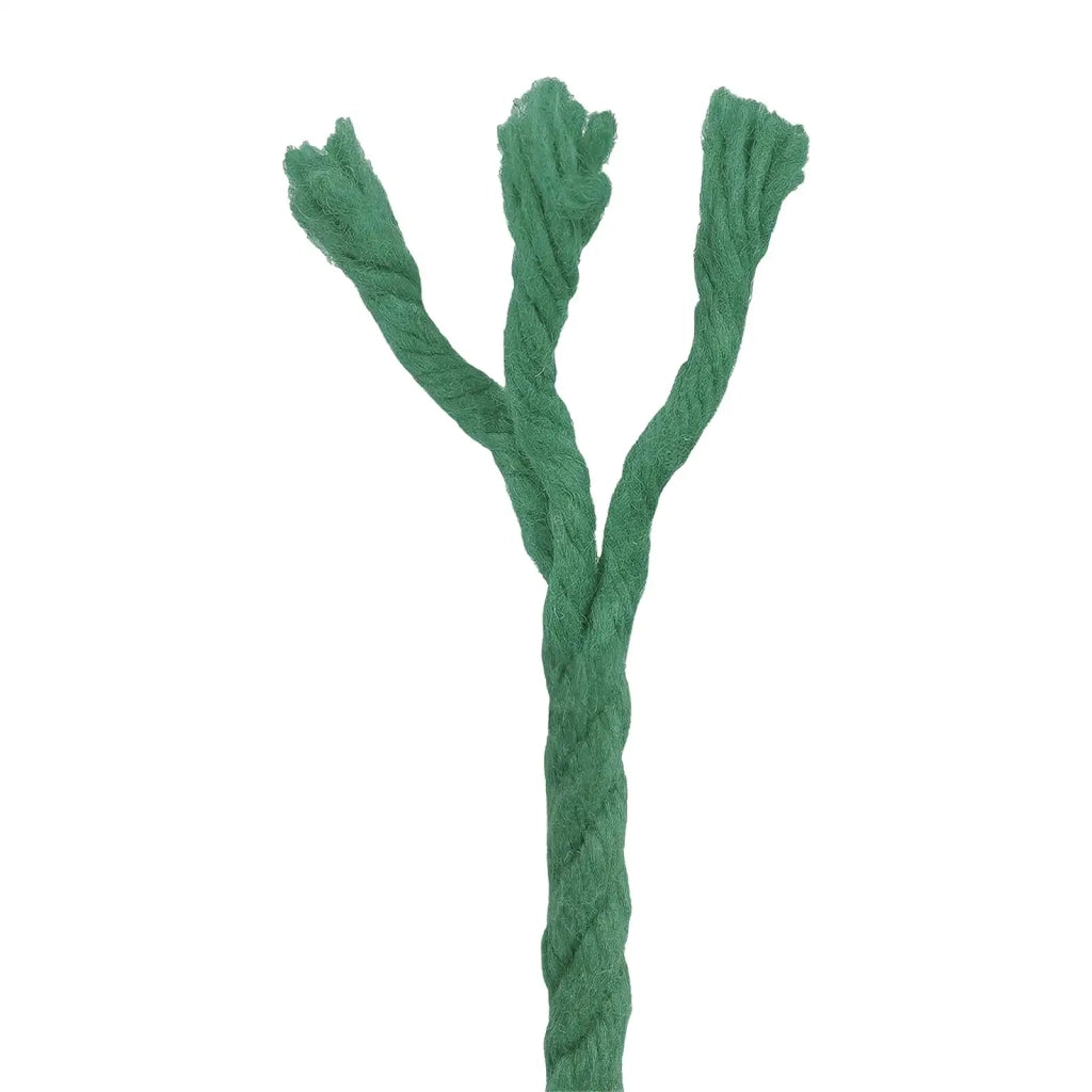 Spago di Cotone 4 mm 250 m Verde 100% Cotone 42011944