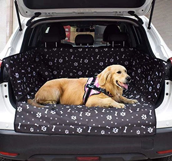 Difesa auto per cani Difesa acquatica per cani Difesa auto per cani con protezione laterale Difesa auto per cani con protezione per zampe con protezione laterale