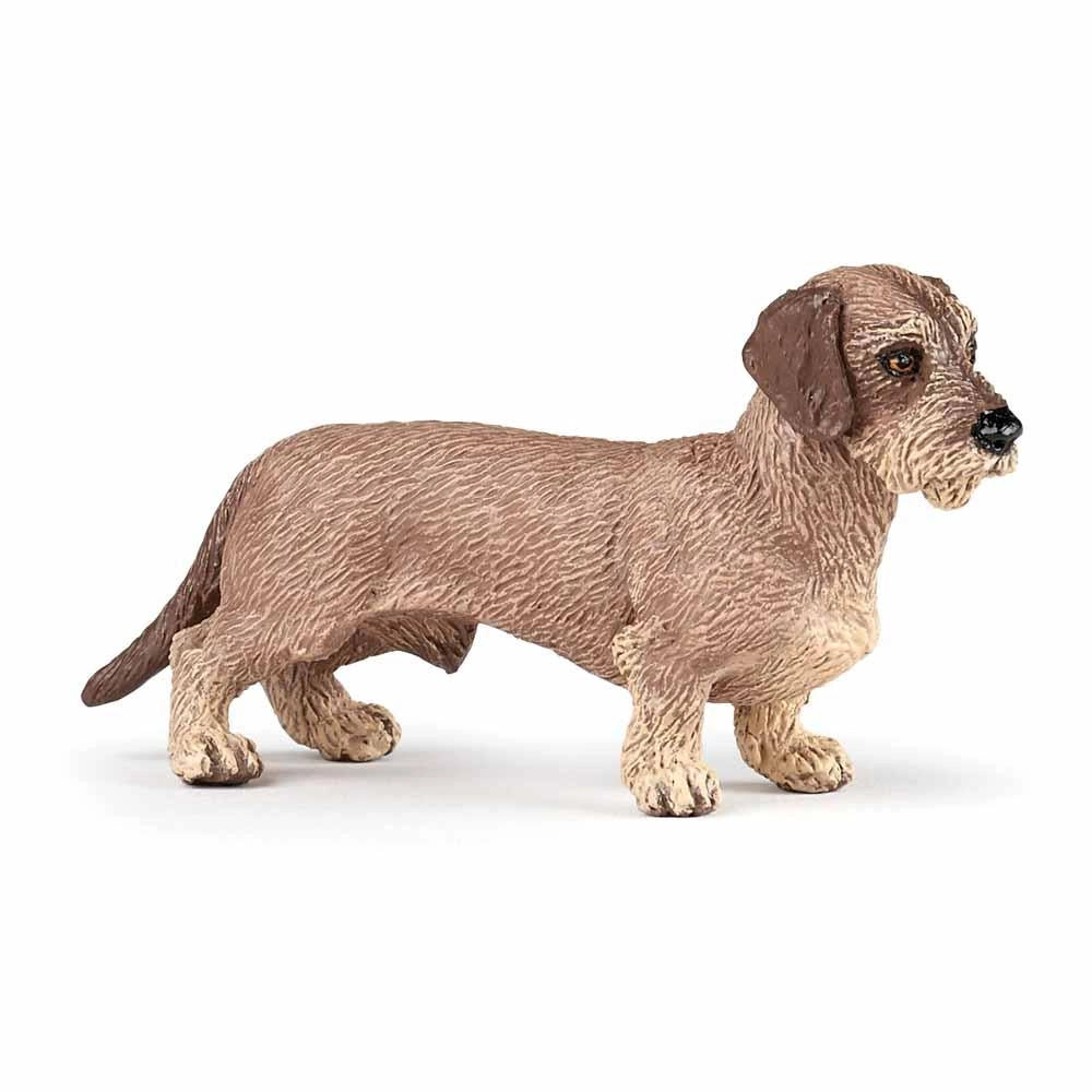 Papo - Dachshund