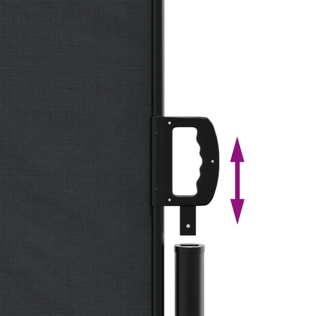 Tenda da Sole Laterale Retrattile Nera 180x1200 cm 4004834